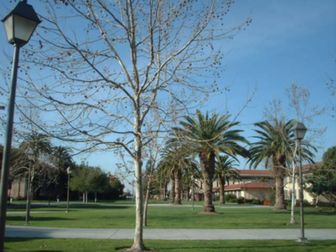Santa Clara University