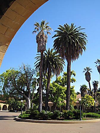 Stanford University