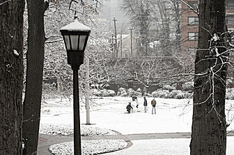 The Georgia Institute of Technology