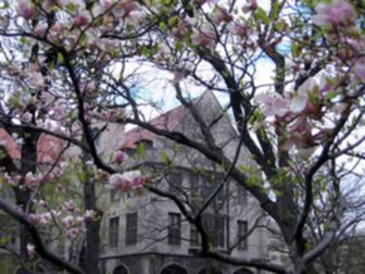 The University of Chicago