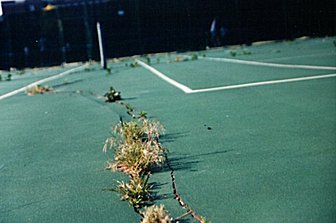 The University of Michigan - Ann Arbor