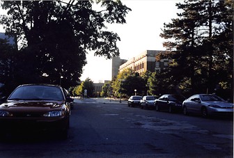 The University of Michigan - Ann Arbor