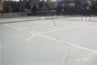 The University of Michigan - Ann Arbor