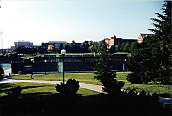 The University of Michigan - Ann Arbor