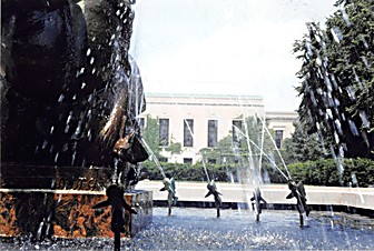 The University of Michigan - Ann Arbor