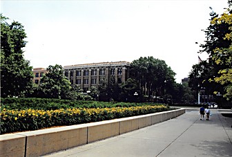The University of Michigan - Ann Arbor