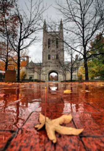 The University of Missouri - Columbia