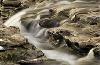 The University of Missouri - Columbia